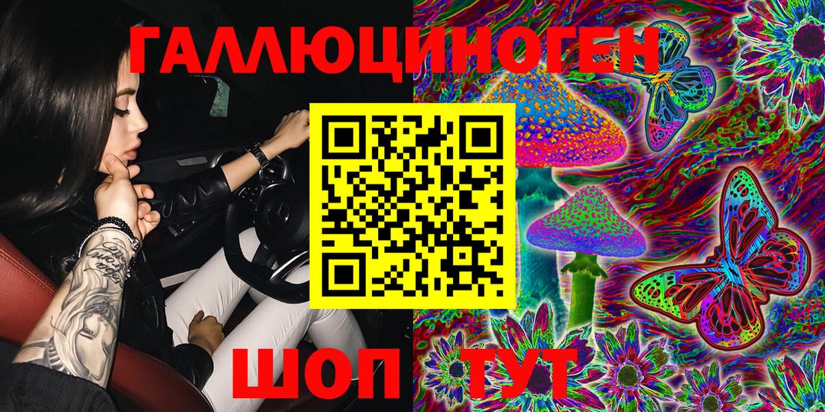 Галлюциногенные грибы Psilocybine cubensis  Вход с VPN  Псилоцибиновые грибы Cubensis  Осинники 